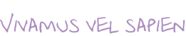 Vivamus vel sapien