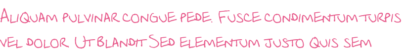 Aliquam pulvinar congue pede. Fusce condimentum turpis  vel dolor. Ut blandit Sed elementum justo quis sem
