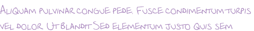 Aliquam pulvinar congue pede. Fusce condimentum turpis  vel dolor. Ut blandit Sed elementum justo quis sem