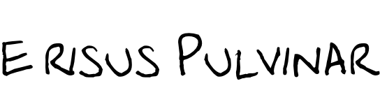 e risus Pulvinar