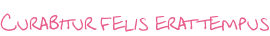 Curabitur felis erat tempus