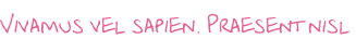 Vivamus vel sapien. Praesent nisl